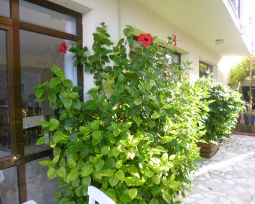 Bayram Hotel, Чешме — честный обзор без звёзд
