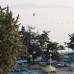 Altin Yunus Apart Beach Plus — апарт-отель в Чешме