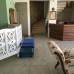 Tinika Butik Hotel в Чешме: честный обзор