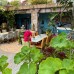Mai Hotel в Чешме: честный обзор