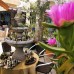 Mai Hotel в Чешме: честный обзор