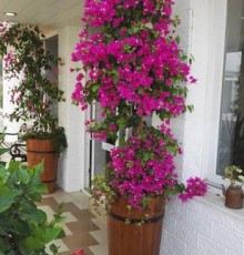 Sifne Termal Otel Sifne Termal Otel