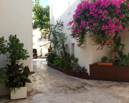 Karayel Apart Hotel в Бодруме: честный обзор от турагента