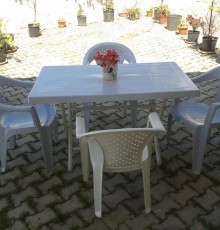 Nese Homes