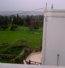 Marti's Home