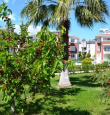 Apartment Belek 1