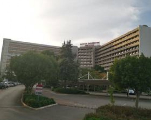 Araucaria Pension в Анталье: пансион без категории в Кепез