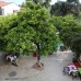 Blue Sea Garden Family Hotel — семейный отель в Калеичи, Анталья