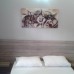 Sun Anatolia Otel — бюджетный отель в Калеичи, Анталья