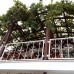 Lemon Villa Hotel в Аланье: честный обзор от турагента