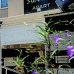 Alanya Sunway Hotel, Аланья — подбор тура с турагентом Галиной