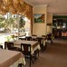Azak Suit Hotel в Аланье: взгляд турагента