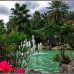 Fortune Alkan Apartments в Аланье: подбор тура от турагента Галины