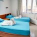 Happy Homes Apart Hotel, Аланья: честный обзор без прикрас