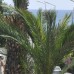 Monte Carlo Park Hotel 3* в Аланье: честный обзор от турагента