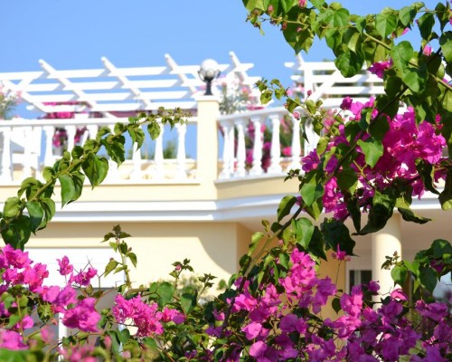 Honeymoon Villa, Аланья — подбор тура у персонального агента