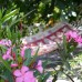 Honeymoon Villa, Аланья — подбор тура у персонального агента