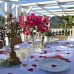 Honeymoon Villa, Аланья — подбор тура у персонального агента