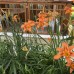 Nar Apart Hotel, Сиде: апарт-отель для спокойного пляжного отдыха