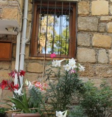 Nar Butik Hotel