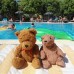 Melissa Garden Apart Hotel, Кумкой — апарт-отель для активного и семейного отдыха