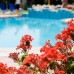 Begonville Apart Hotel 4* в Сиде: взгляд турагента на отдых