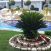 Side Agora Residence — отдых в Сиде