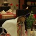 Sirma Hotel & Apartments 4* в Сиде: подбор тура с персональным агентом