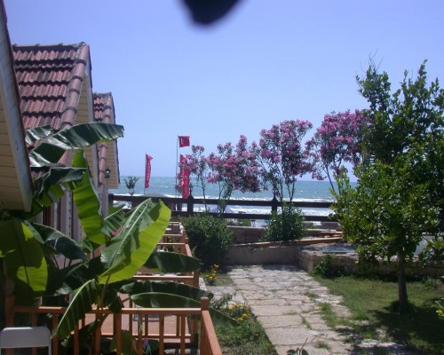 Nova Beach Hotel 2* в Сиде — что важно знать до поездки