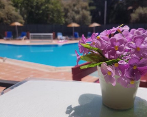 Tunacan Hotel в Олюденизе: что важно знать перед бронированием