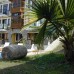 The Olive Tree Studios в Олюдениз: что важно знать до брони