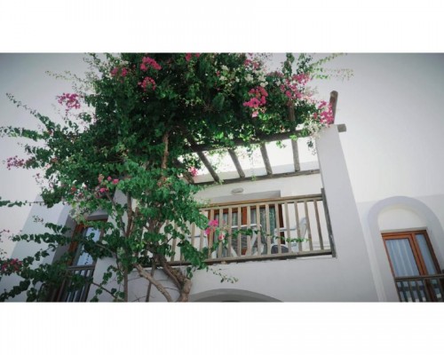 Gumbet Cove Hotel — отель в Гюмбете для пляжного отдыха и дайвинга