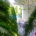 Jungle Apart Otel, Торба (Бодрум) — апарт-отель для спокойного отдыха