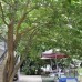 Kemer Park Otel, Кемер: честный обзор и подбор тура