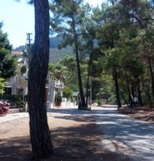 Apartment Forest Park near Beach