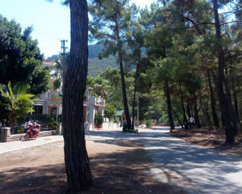 Apartment Forest Park near Beach, Кемер: апартаменты с аквапарком и спортивной инфраструктурой