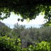 Villa Paradise, Турунч (Турция): взгляд турагента на отель