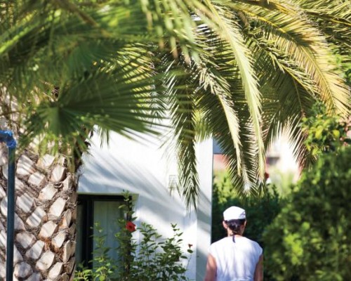 Sural Garden 3* в Чолаклы — подбор тура с турагентом Галиной