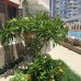 Alanya Family House (Махмутлар, Турция): честный обзор от турагента