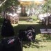 Gold Apart Hotel в Кушадасы: что это за отель и кому он подойдёт