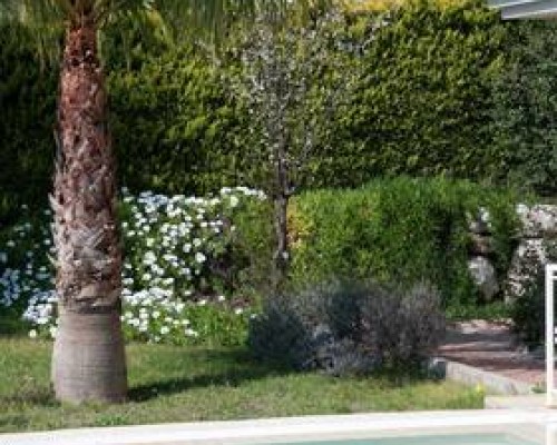 Villa Tropica, Кушадасы — что это за отель на самом деле