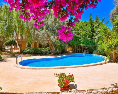 Villa Kalabak в Каше: что известно об отеле