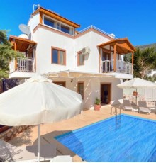 Villa Olive-7