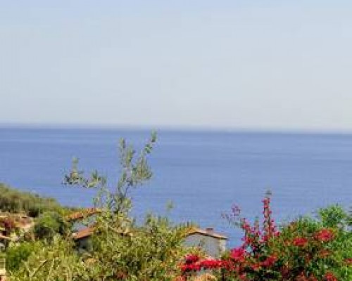Villa Rimma в Калкане: что это за отель на самом деле