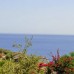 Villa Rimma в Калкане: что это за отель на самом деле