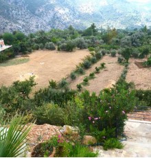 Villa Ask