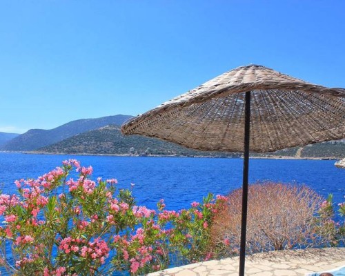 Villa Sapphire 5* в Калкане: что важно знать перед бронированием