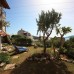 Club Patara Villas 220 — апартаменты 2* в Калкане