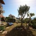 Club Patara Villas 220 — апартаменты 2* в Калкане