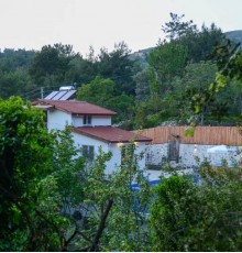 Villa Botanik